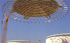 Storage tank and geodesic roof structure